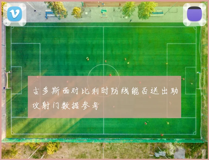 古多斯面对比利时防线能否送出助攻射门数据参考