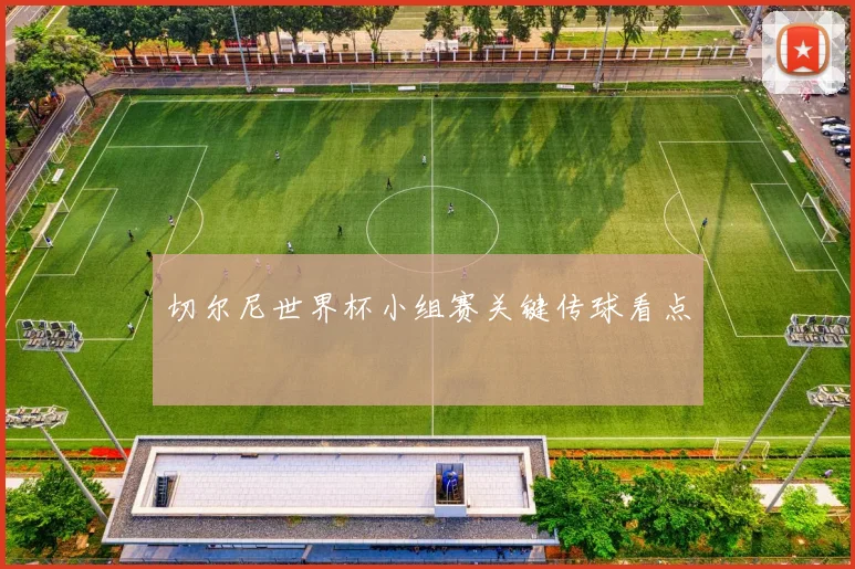 切尔尼世界杯小组赛关键传球看点
