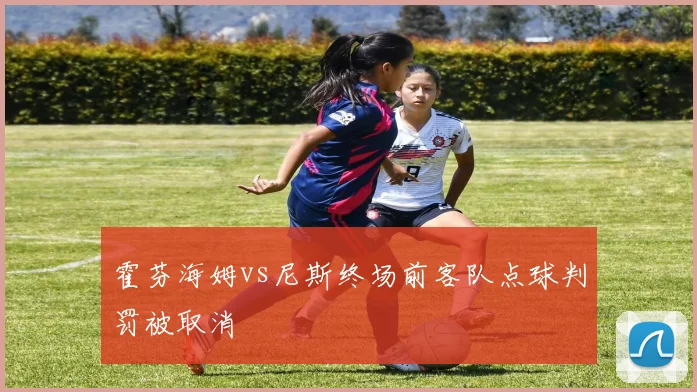霍芬海姆vs尼斯终场前客队点球判罚被取消