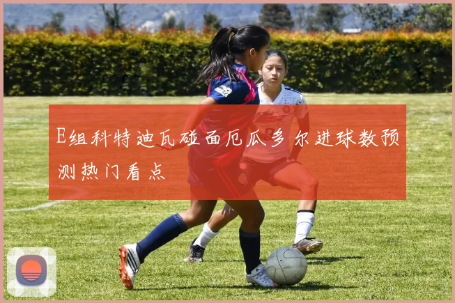 E组科特迪瓦碰面厄瓜多尔进球数预测热门看点