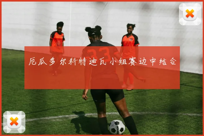 厄瓜多尔科特迪瓦小组赛边中结合